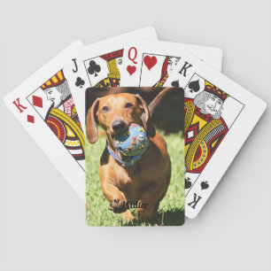 Baralho Texto e Foto de Pet Personalizados
