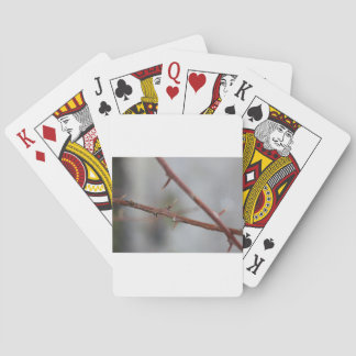 Baralho Thorns