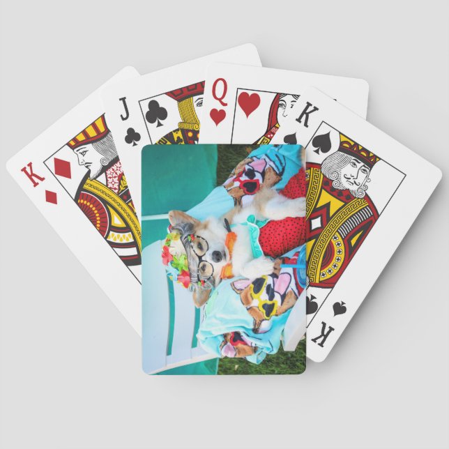 Baralho Tia Gussy Corgi jogando cartas (Verso)