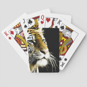 Baralho Tigre