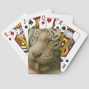 Baralho Tigre Branco no Ritual de Alinhamento Privado