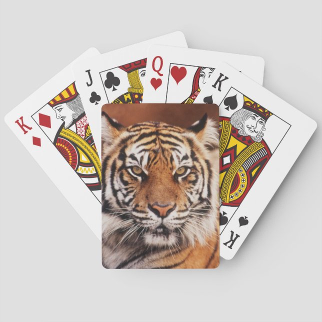 Baralho Tigre-de-sumatra (Verso)