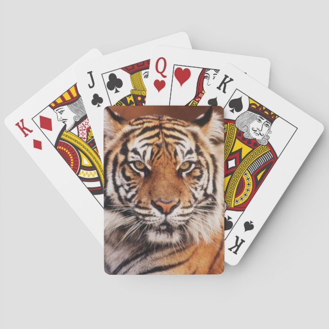 Baralho Tigre-de-sumatra (Verso)