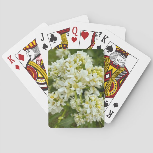 Baralho Tocando Cartões (Verso)