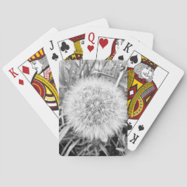 Baralho Tocando Cartões