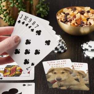 Baralho Todo Cachorro Tem Seu DIA Hakuna Matata Dias Feli