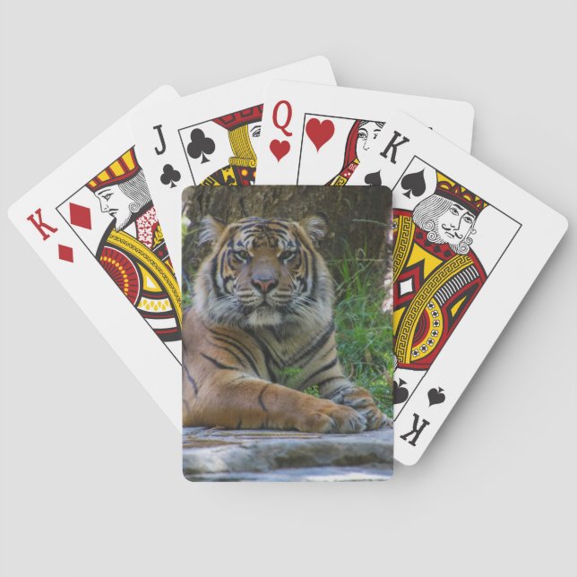 Baralho Tony (Verso)