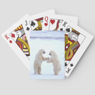 Baralho Toque de Urso Polar