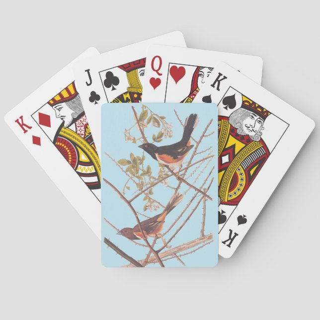 Baralho Toweting Audubon Black and Orange Song Birds (Verso)