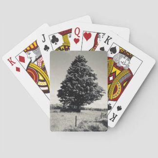 Baralho tree playing cards
