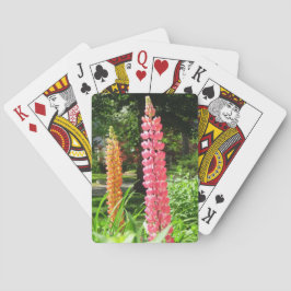 Baralho Tremoços num Jardim de Algodão - Vinha de Martha