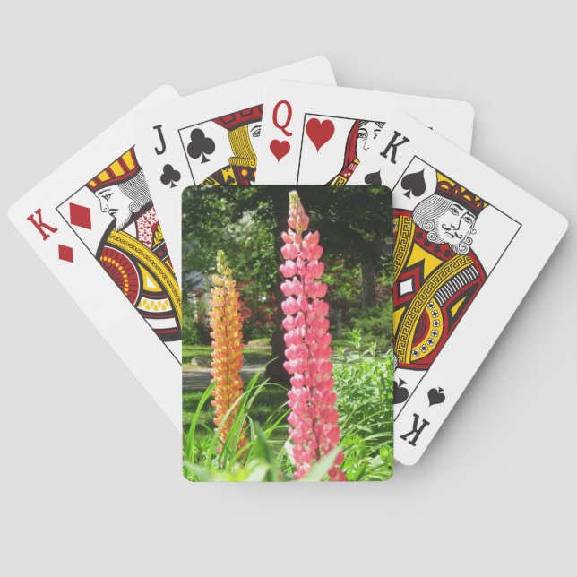 Baralho Tremoços num Jardim de Algodão - Vinha de Martha (Verso)