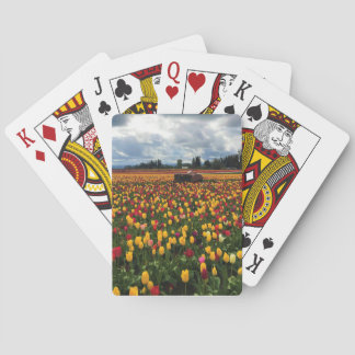 Baralho Tulip Field com Old Trator, Oregon