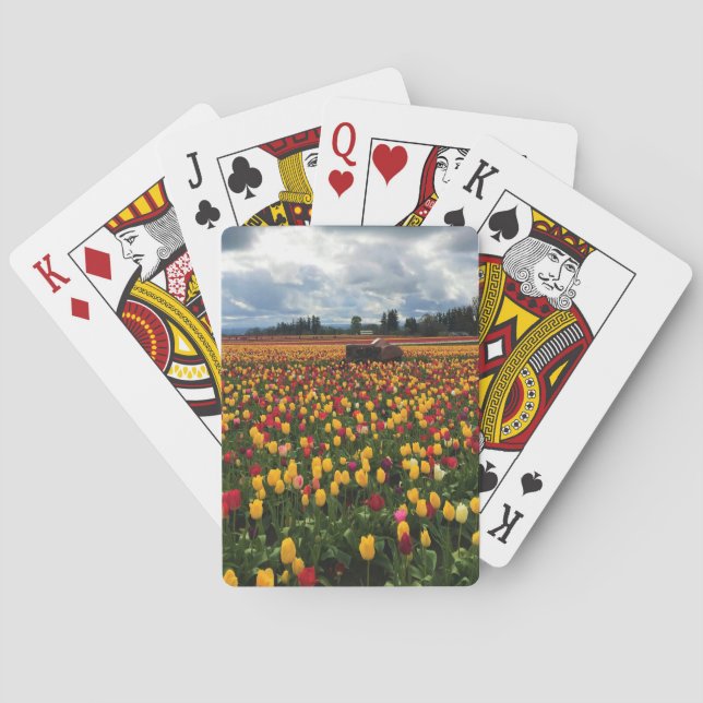 Baralho Tulip Field com Old Trator, Oregon (Verso)