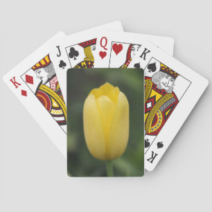 Baralho Tulipa amarela - cartões de jogo da Baixo-visão