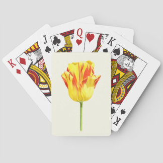 Baralho Tulipa amarela e vermelha