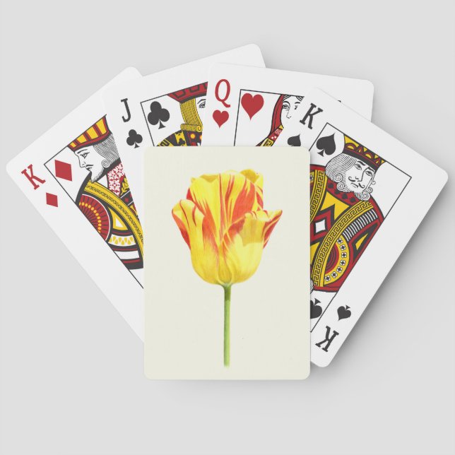 Baralho Tulipa amarela e vermelha (Verso)