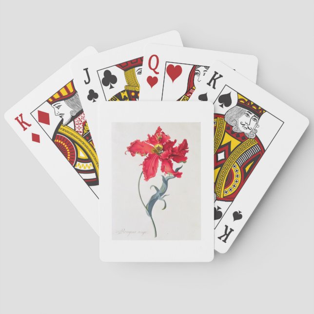 Baralho Tulipa: Vermelho de Perroquet (Verso)