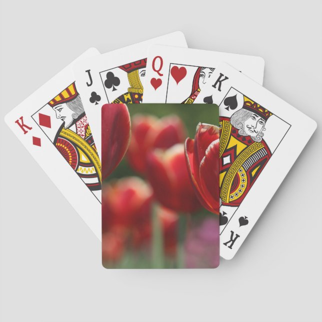 Baralho Tulipas (Verso)