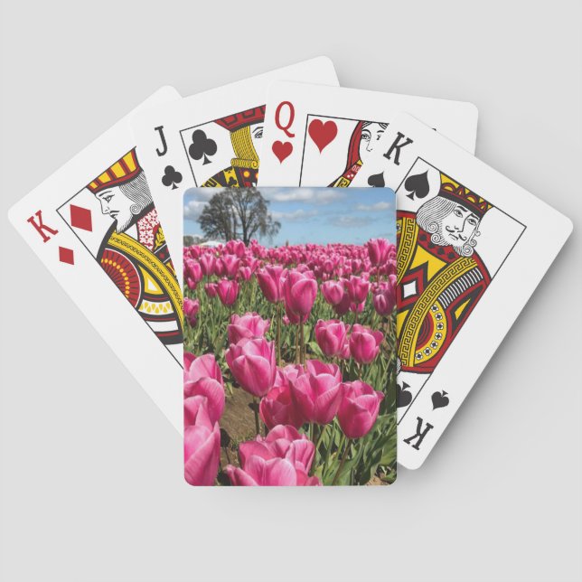 Baralho Tulipas rosa em um campo, Oregon (Verso)
