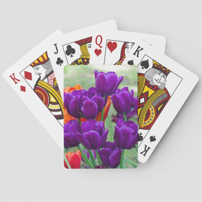 Baralho Tulipas roxas escuras num dia ensolarado no jardim (Verso)