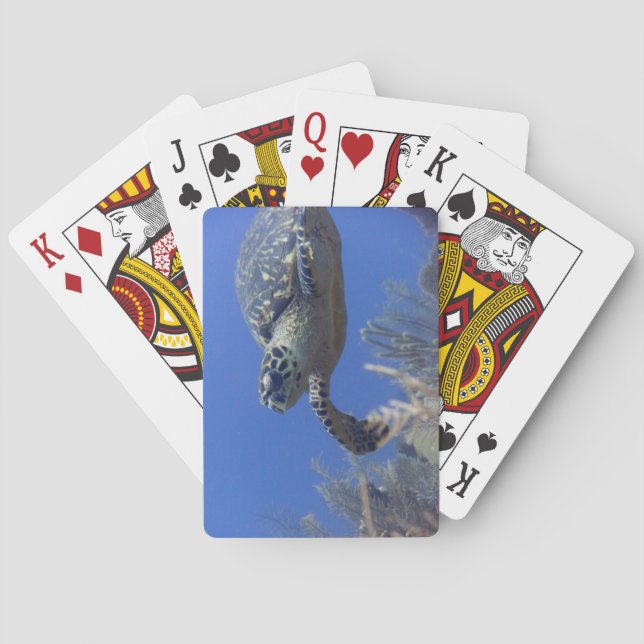 Baralho Turtle Bicycle Poker Deck (Verso)