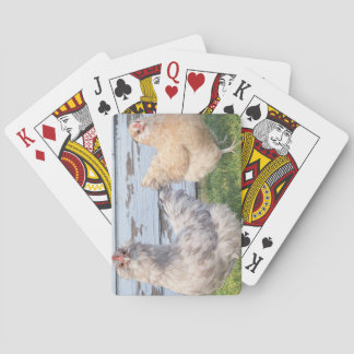 Baralho Two Chickens Poker Cards – Cute Farm Animal Play
