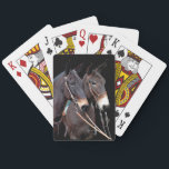 Baralho Twosome da mula<br><div class="desc">Duas mulas pausam antes de dirigir para fora para um passeio da fuga. Foto por Maggie Moore da citadela Photographic.com.</div>