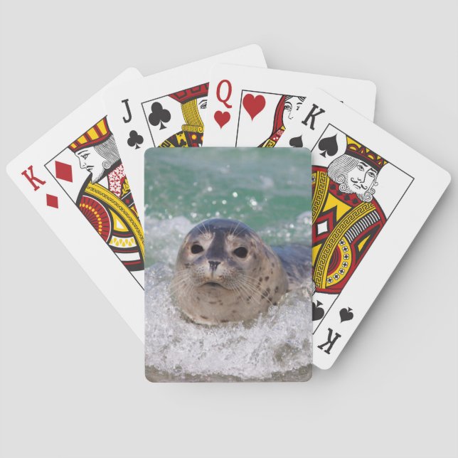 Baralho Um filhote de foca surfando (Verso)