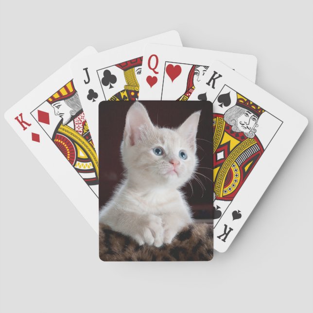 Baralho Um gatinho branco jogando cartas. (Verso)