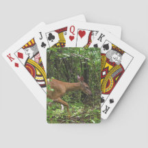 Um Stroll através das madeiras