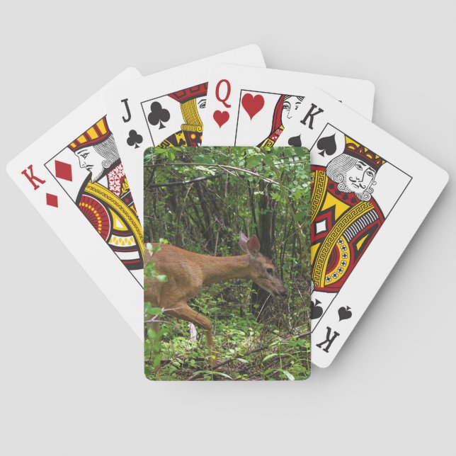 Baralho Um Stroll através das madeiras (Verso)