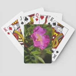 Baralho Um único selvagem aumentou