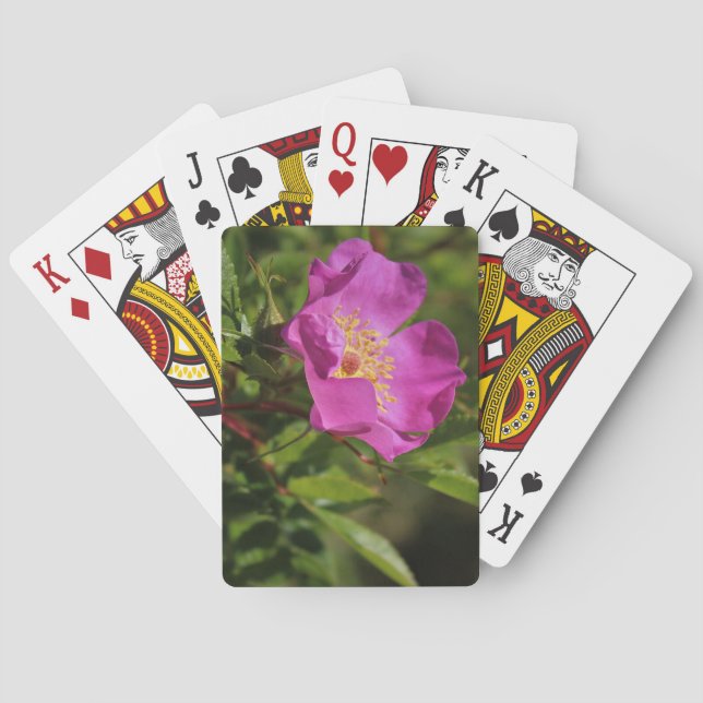 Baralho Um único selvagem aumentou (Verso)