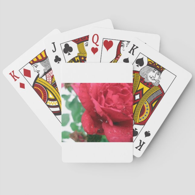 Baralho Uma Rosa vermelha (Verso)