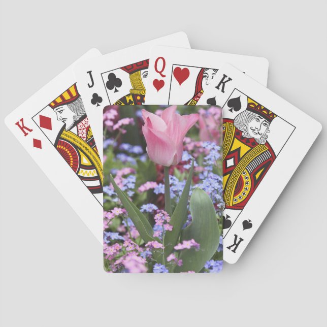 Baralho Uma tulipa no Luxembourg Gardens, Paris, França (Verso)