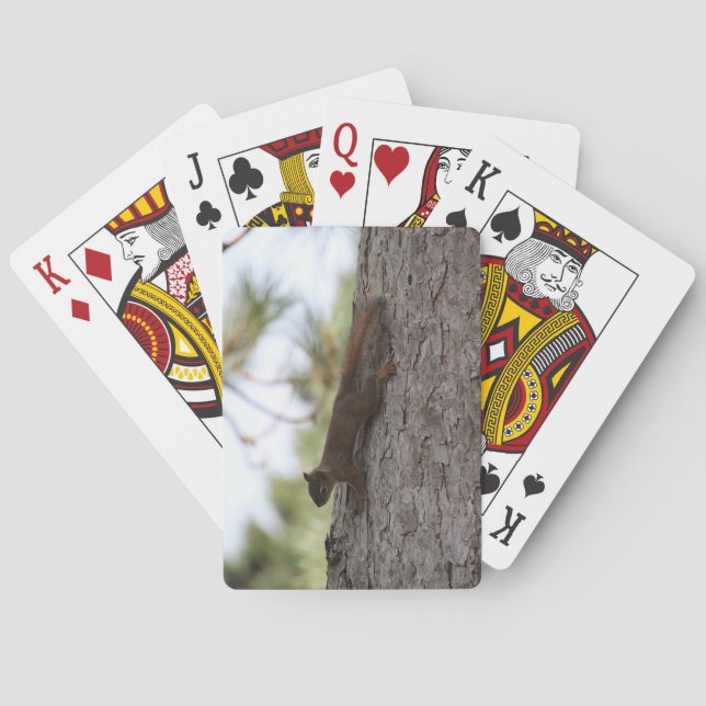 Baralho Upside Down Squirrel Playing Cards (Verso)