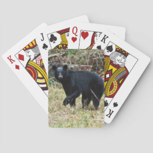 Baralho Urso Negro da Flórida