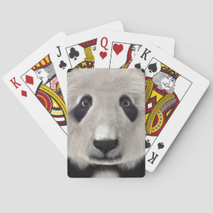 Baralho Urso Panda
