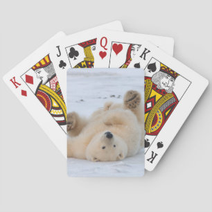 Baralho urso polar, Ursus maritimus, filhote rolando 3