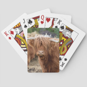 Baralho Vaca das montanhas