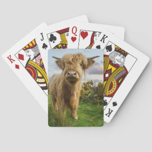 Baralho Vaca do planalto