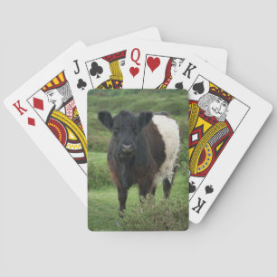 Baralho Vaca Galloway Belga