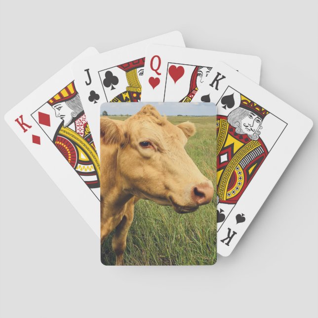 Baralho Vaca Loira (Verso)