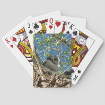 Vendo Você Jogando Cartas