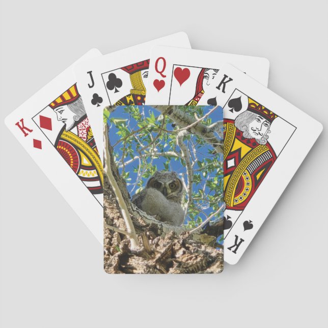 Baralho Vendo Você Jogando Cartas (Verso)