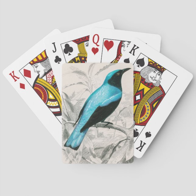 Baralho Vintage azul ilustrada (Verso)