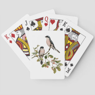 Baralho Vintage Bonito Birds em uma ramificação