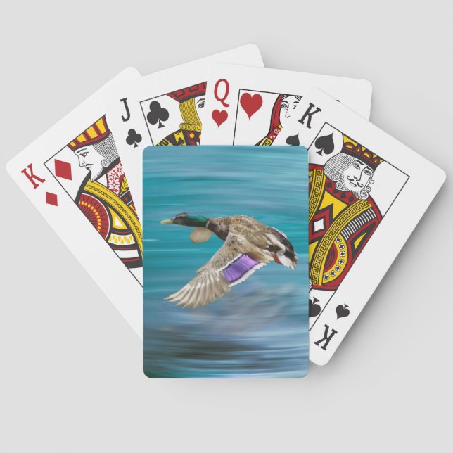 Baralho Voo de patos-reais (Verso)