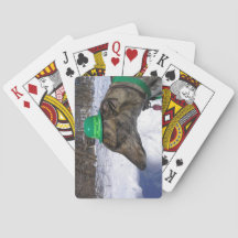 Vou Correr contigo!"